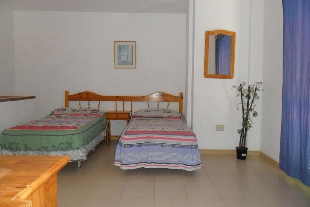 Apartamentos Alondras Park コスタ・デル・シレンチオ エクステリア 写真